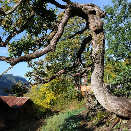 Historic Du Pillon ホテル レ・ディアブルレ