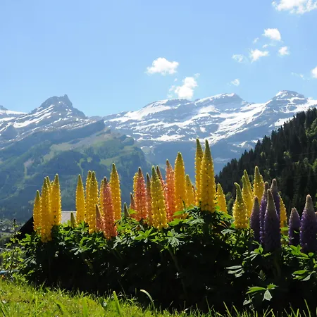 Historic Du Pillon Les Diablerets