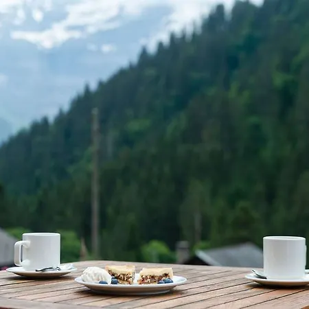 ホテル Historic Du Pillon レ・ディアブルレ