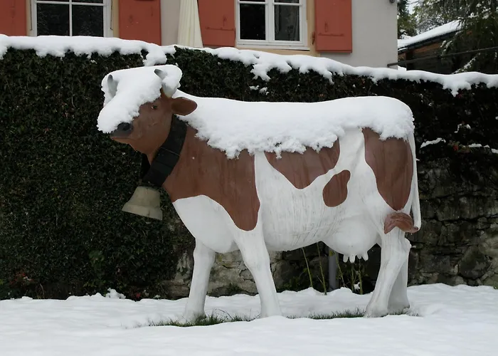 Historic Du Pillon Les Diablerets