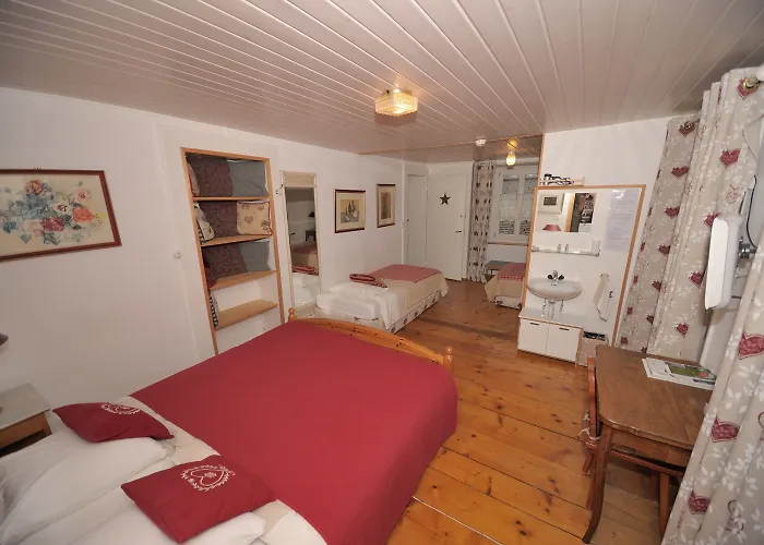 Hotel Historic Du Pillon 3*