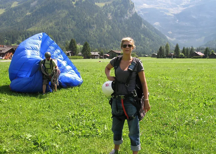 Hotel Historic Du Pillon 3*