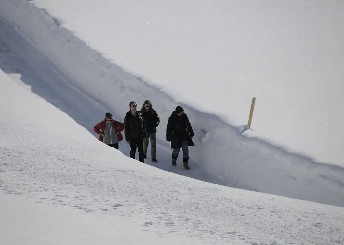 Hotel Historic Du Pillon Les Diablerets