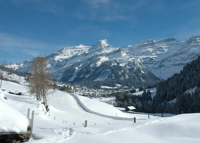 Historic Du Pillon Hotel 3*