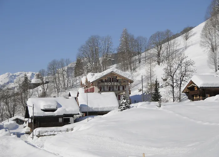 Historic Du Pillon Hotel 3*