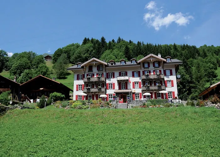 Hotel Historic Du Pillon 3*