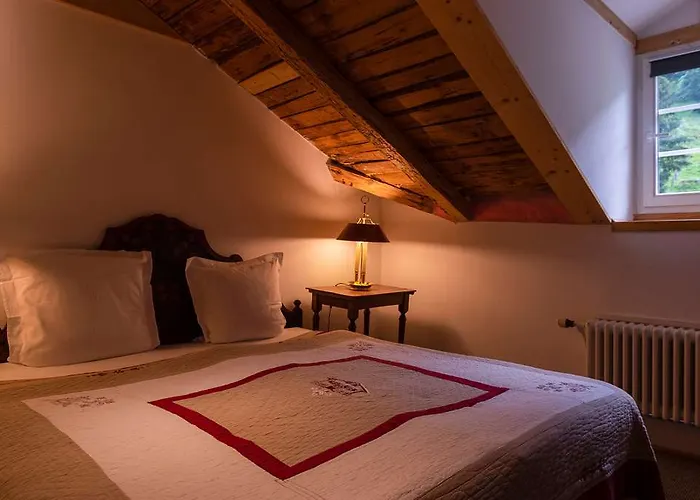 Historic Du Pillon Hotel 3*
