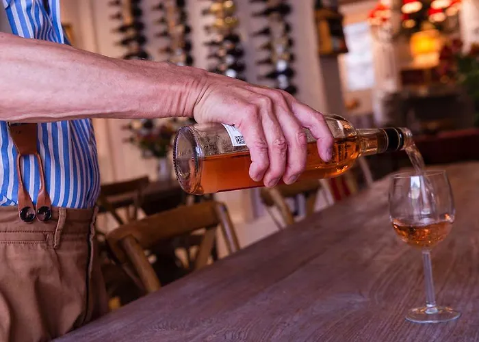 Hotel Historic Du Pillon 3*