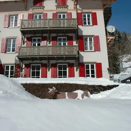 Hotel Historic Du Pillon 3*