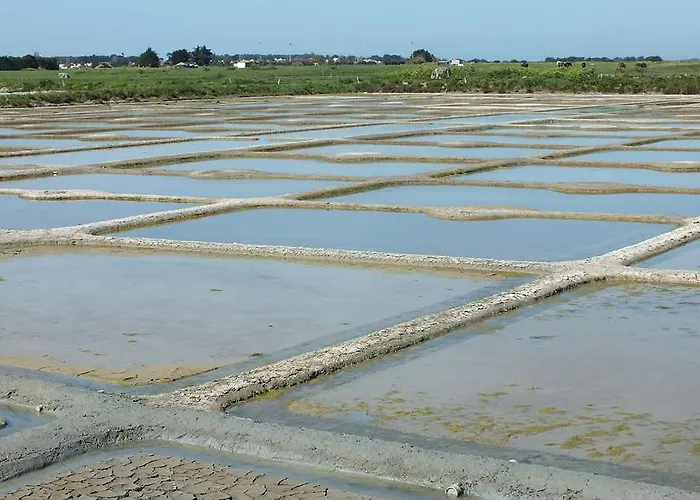 Historic Du Pillon 酒店 莱迪亚布勒雷