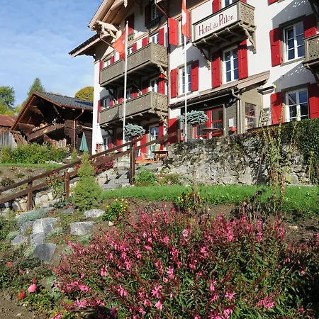 Historic Du Pillon Hotel 3*