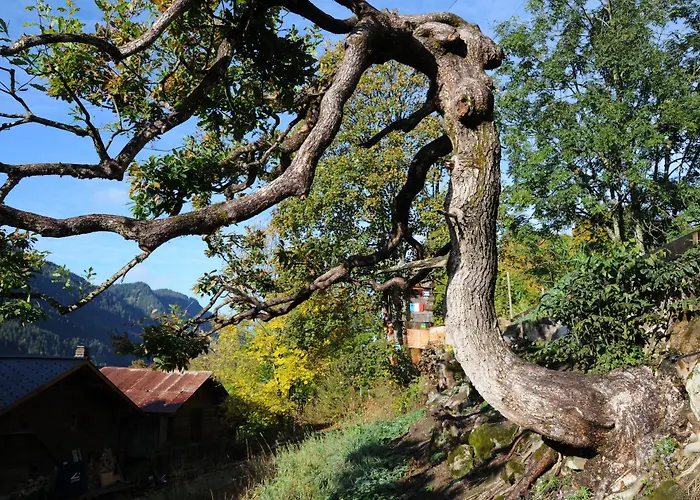 Historic Du Pillon Hotel Les Diablerets