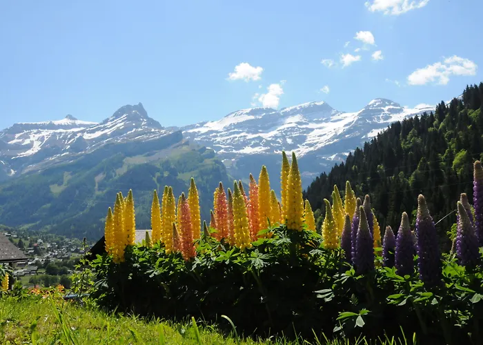 Historic Du Pillon Les Diablerets